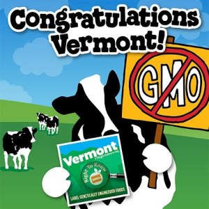 ben-jerry-gmo